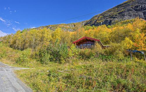 . Awesome Home In Hemsedal With Wifi