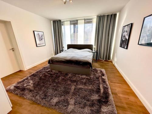 Spectecular Rhineview Fair Parking Luxury 12 Pers, Düsseldorf (Foto 11)