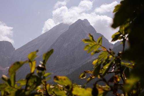 Alba Chiara 39 Alba Chiara 39