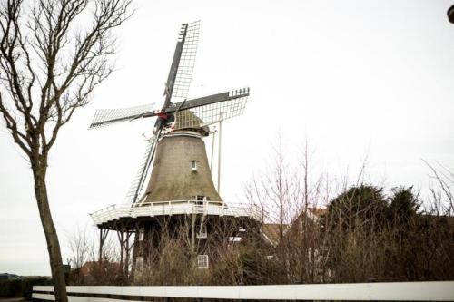 Weidevilla 14 auf Ameland - image 10