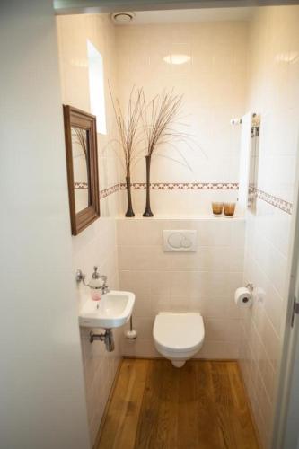 Weidevilla 14 auf Ameland - image 14