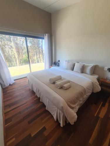 Cerro Místico Hotel de Campo (Cerro Mistico Hotel de Campo) in Minas