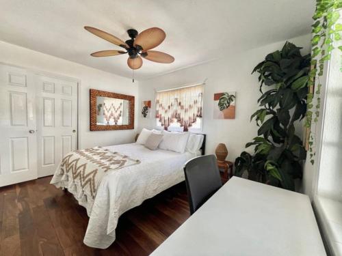 459 Cozy Getaway with fire pit in Tampa, USA