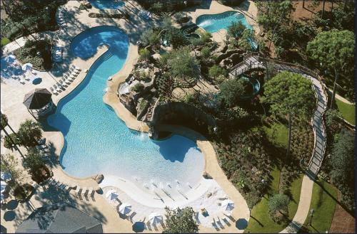 Beautiful Two Bedroom Condo with Access to Resort Amenities in Palm Harbor, USA
