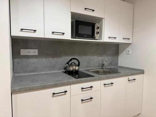 Kitchen, Skolni 60 in Pelhrimov