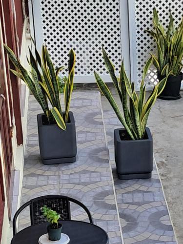 ทัศนียภาพภายนอกโรงแรม, Breadfruit lodge in คราวน์ พอยต์