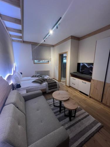 Privatni Studio Apartman RIO 029 u sklopu HOTEL VUČKO JAHORINA - Apartment - Jahorina