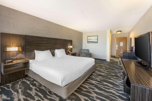 1 king bed