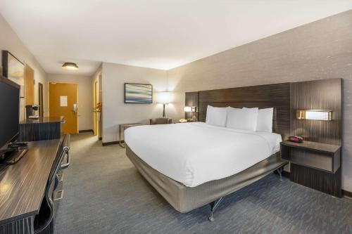 Best Western Plus North Las Vegas Inn & Suites - image 8