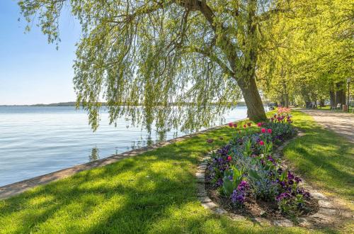 Ferienhaus Kleine Sommerliebe - mit Garten am Radwanderweg 6.9km von Grabowhöfe entfernt