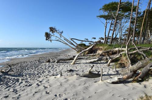 playa, Ankerplatz an der Seebrücke (Ankerplatz an der Seebrucke) in Zingst