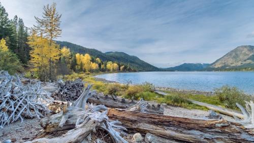 Painted Pony Cabin by NW Comfy Cabins