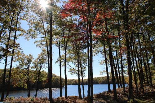 Nick Lake Lodge in Birchwood, USA