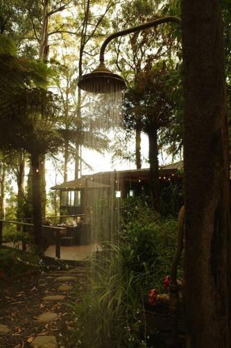 Forest Retreat in Ferny Creek