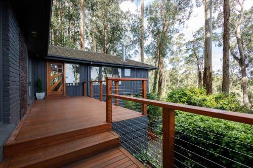 Forest Retreat in Ferny Creek