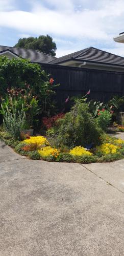Garden, Warm & welcome on Whiteley in Moturoa