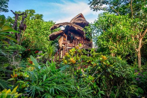 Green Travelodge Bukit Lawang Room Type - Budget Double Room