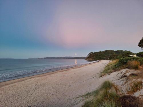 Programlehetőségek, Whangapoua Family Bach - 100m from the beach! in Whangapoua