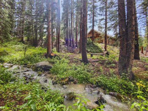 Alpine Creek Lodge home in Blue River, USA