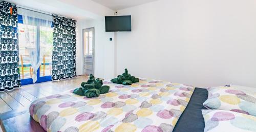 Apartments Dreamland