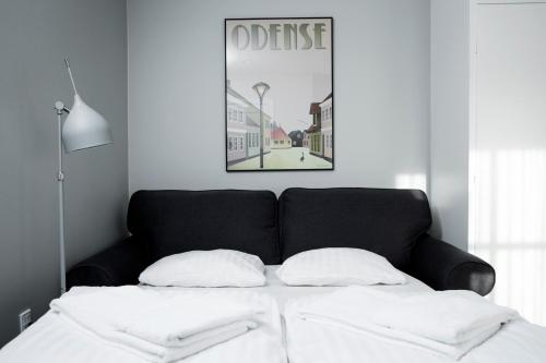 1 queen bed, 1 sofa bed