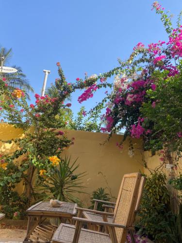 Le Poulagou in San Luis