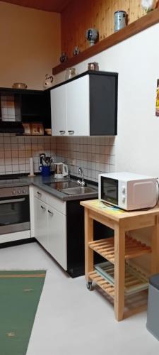 廚房, Weingut-Ferienwohnung Jungblut - nur Urlaubsgäste (Weingut-Ferienwohnung Jungblut - nur Urlaubsgaste) in 孔茨