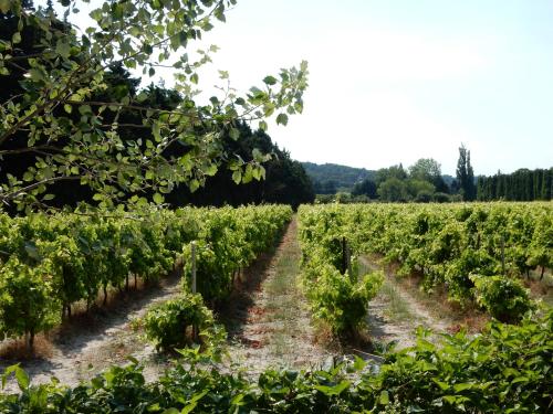 Domaine de Blanche Fleur