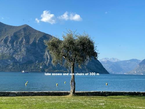  Holiday home Punta D´Oro with garden, parking place and lake access at 300 m in Iseo
