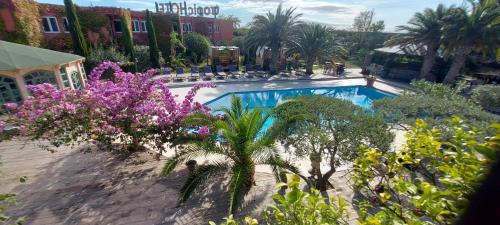Tropic - image 13