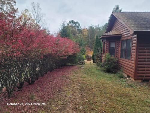 Get-away Cabin in Columbus, USA