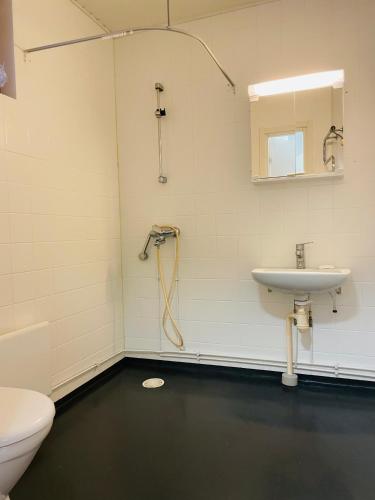 Voionmajoitus Room Type - Apartment