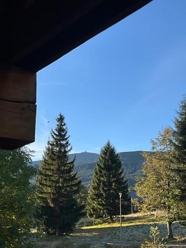 Superior Cottage with Sauna image 1