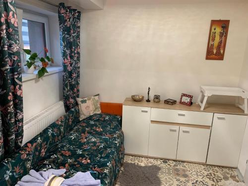 Family Studio in Basement