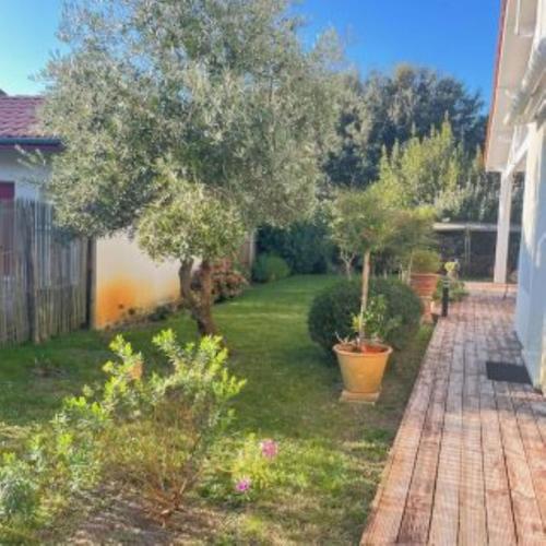 Chambres d'Hôtes d'Aliénor Chambres d'Hôtes d'Aliénor