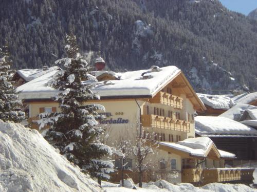 Albergo Fiordaliso - Hotel - Canazei di Fassa