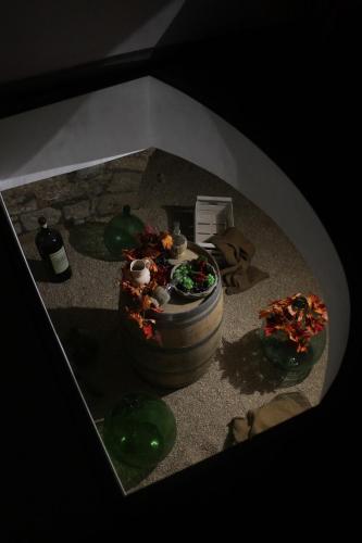 Tellmewhy Puglia in Corato