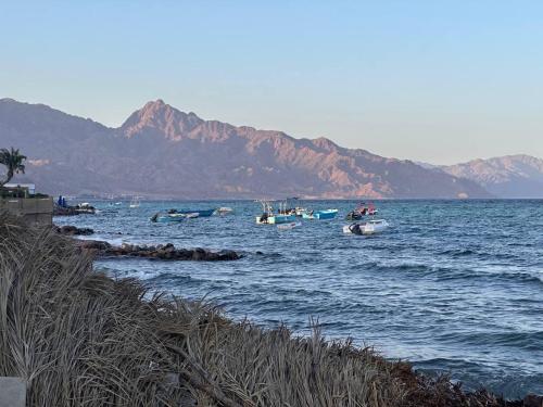 Amanda beach hotel – Dahab, NM