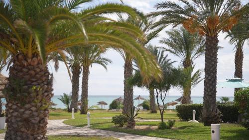 金色郁金香塔杰苏尔坦度假村