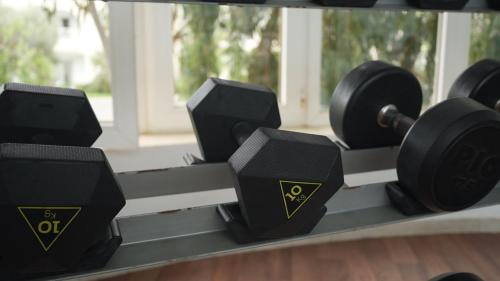 金色郁金香塔杰苏尔坦度假村