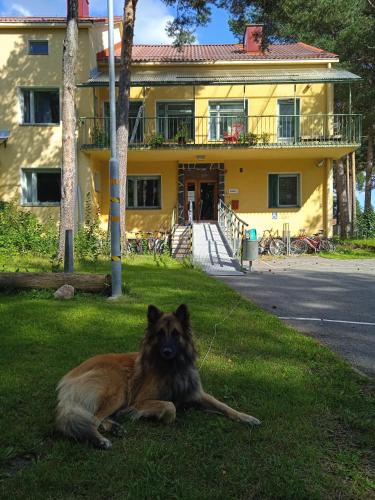 OuluHostel AlliMaria in Ουλού