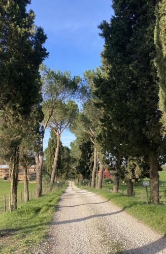 Apkārtne, Azienda Agricola il Borgo di Sant'Elia in Castel Sant'Elia