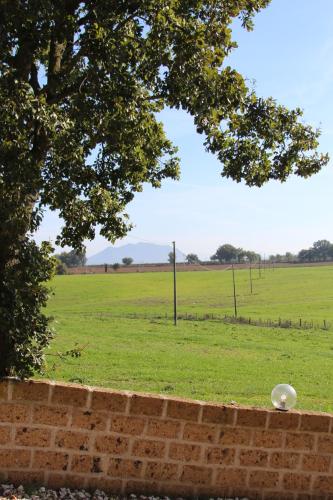 Apkārtne, Azienda Agricola il Borgo di Sant'Elia in Castel Sant'Elia