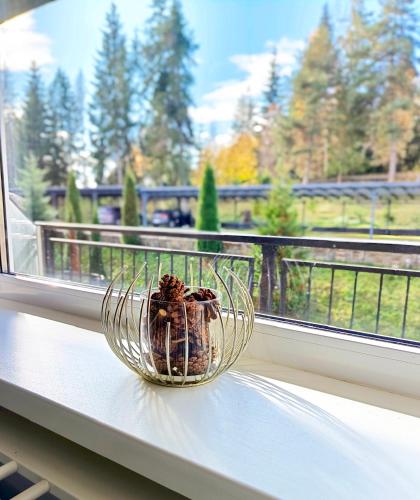 Štúdio Srnček - Tatranská Štrba - wellness, bazén, Štrba (foto 6)