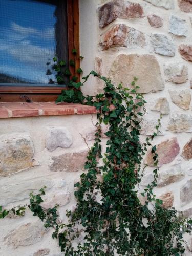 El Cubo de Sebastián El Cubo de Sebastián