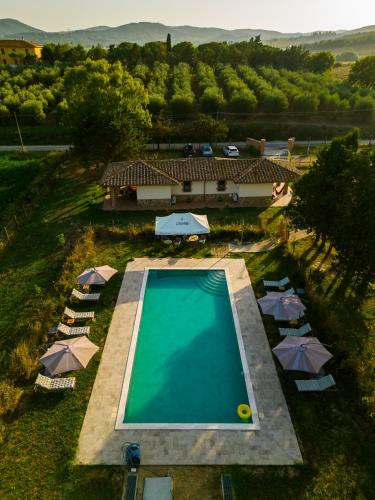 . Agriturismo Anfora della Vita