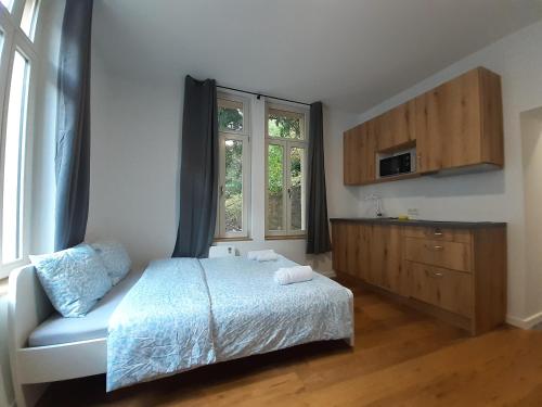 Studio near to the City Centre in 岑斯