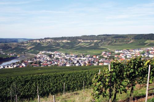 Gästehaus und Weingut Bernd Frieden