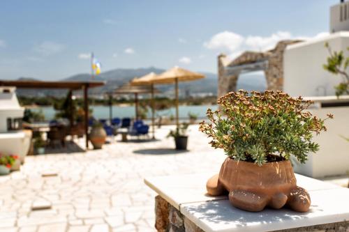  Theologos Beach in Antiparos