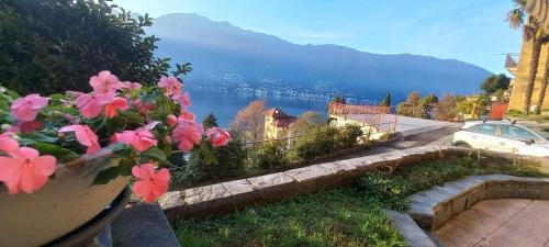  Casa le Palme in Pino Lago Maggiore
